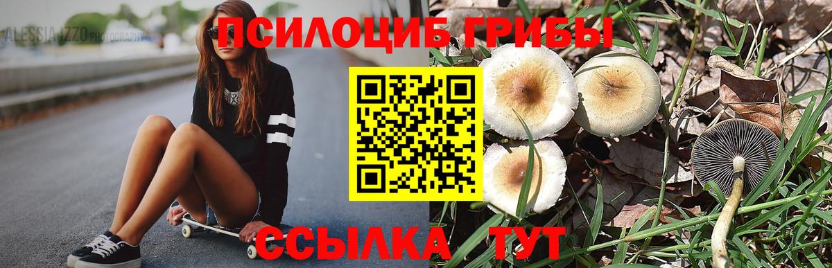 Галлюциногенные грибы Cubensis  что такое   Шатура  Галлюциногенные грибы Magic Shrooms  Вход с VPN 